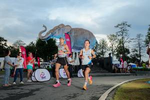 BIB: 
                            <button type="button" onclick="openModal(26529393)" class="btn btn-primary btn-sm float-right btn-popup" data-toggle="modal" data-target=".modal-high-quality">
                        <i class="fas fa-shopping-cart"></i> Add to Cart
                    </button>
                                            <button type="button" onclick="isThisMe(26529393, true)" class="btn btn-success btn-sm float-right btn-popup btn-isme hidden" data-toggle="tooltip" data-placement="bottom" title="นี่คือรูปของคุณใช่ไหม คลิกที่นี่เพื่อเอาเข้าอัลบั้ม">
                        <i class="fas fa-plus"></i> Add to album
                    </button>
                    <button type="button" onclick="isThisMe(26529393, false)" class="btn btn-warning btn-sm float-right btn-popup btn-isnotme hidden">
                        <i class="fas fa-ban"></i> Remove from album
                    </button>